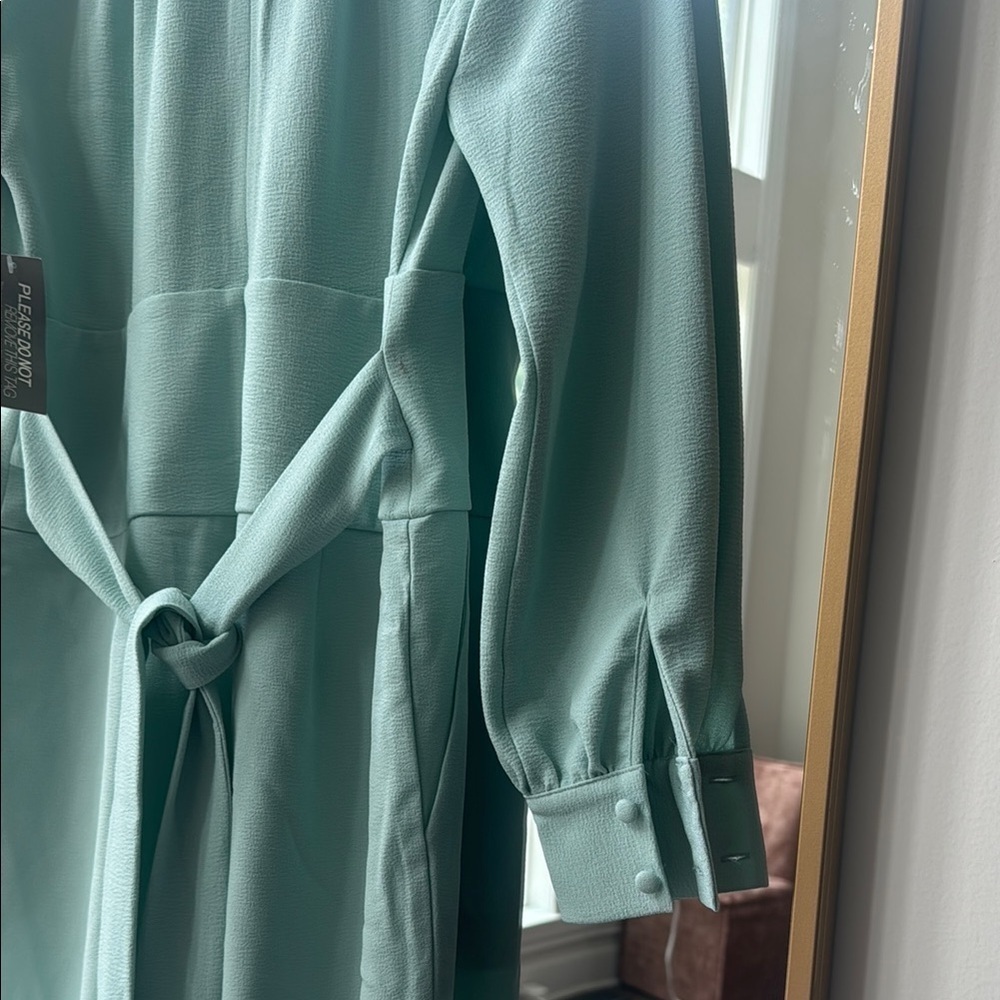 Elegant Mint Green Women's Dress - Picture 3 of 6